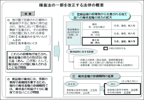 月報 野菜情報 農林水産省から ２００５年１０月