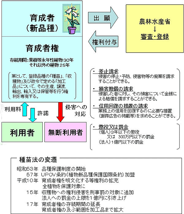 植物新品種の保護の強化及び活用の促進に関する検討会報告及び種苗法改正案について 野菜情報 農林水産省から ２００７年４月