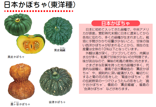 月報 野菜情報 今月の野菜 かぼちゃ ２００８年１１月
