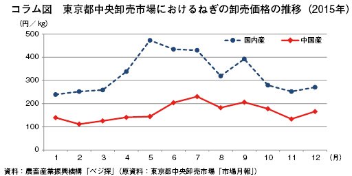 中国のねぎの生産および輸出動向 海外情報 16年5月