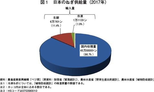 主要国の野菜の生産動向等 海外情報 19年1月