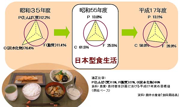 平成18年版食育白書の概要 野菜情報－農林水産省から－2007年2月