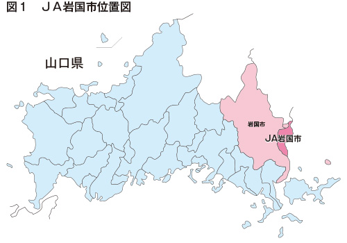 産地紹介 山口県 ｊａ岩国市 月報 野菜情報 産地紹介 15年2月