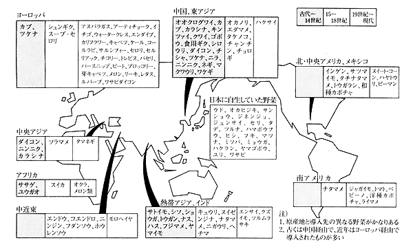 伝統野菜といわれるもの