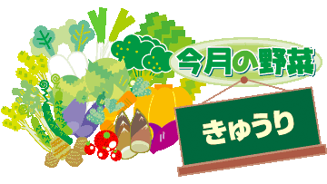 きゅうり 月報 野菜情報 今月の野菜 ２０１０年９月