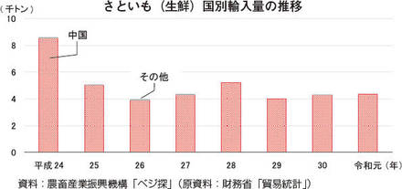 月報 野菜情報 今月の野菜 さといも 21年1月